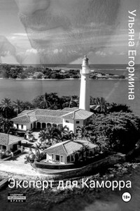 Эксперт для Каморра