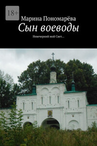 Сын воеводы. Невечерний мой свет…