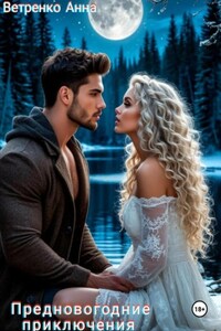 Предновогодние приключения