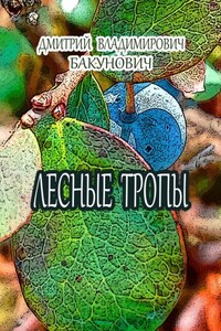 Лесные тропы