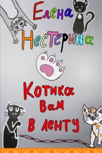 Котика вам в ленту