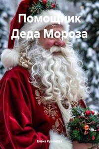 Помощник Деда Мороза