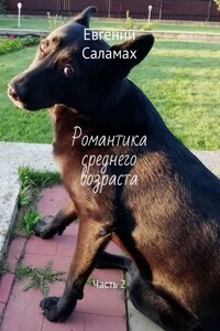 Романтика среднего возраста. Часть 2