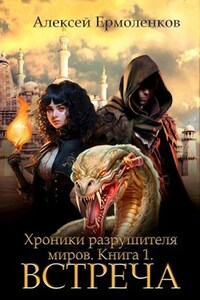 Хроники разрушителя миров. Книга 1. Встреча