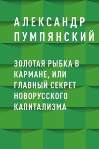 Золотая рыбка в кармане, или Главный секрет новорусского капитализма