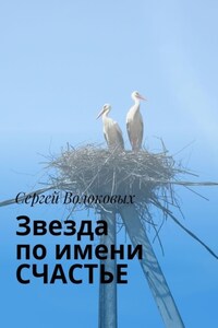 Звезда по имени СЧАСТЬЕ