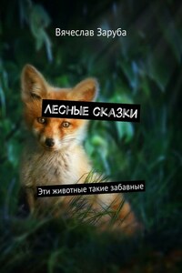 Лесные сказки. Эти животные такие забавные