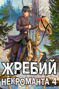 Жребий некроманта 4