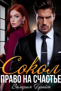 Сокол. Право на счастье