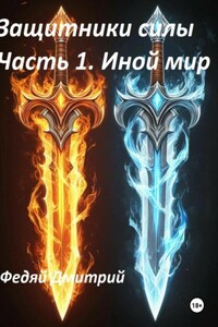Защитники силы. Часть 1. Иной мир