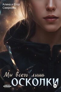 Мы всего лишь осколки