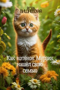 Как котенок Мурзик нашёл свою семью