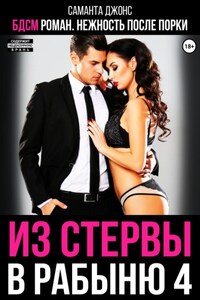 БДСМ роман. Нежность после порки. Из стервы в рабыню 4