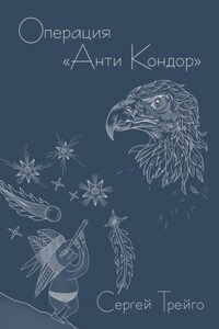 Операция «Анти-Кондор»
