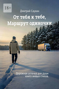 От тебя к тебе, маршрут одиночки. Дорожная аптечка для души. Книга живых стихов