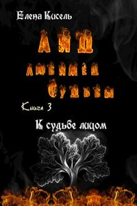 Аид, любимец Судьбы. Книга 3: К судьбе лицом