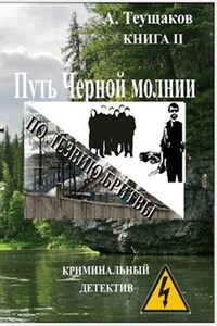 Путь Черной молнии книга 2