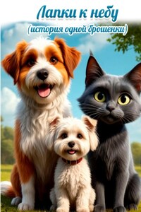 Лапки к небу