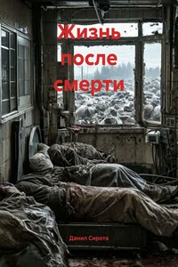Жизнь после смерти