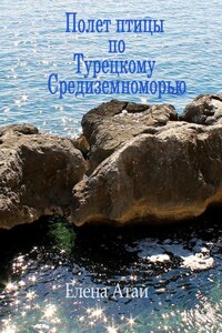 Полет птицы по Турецкому Средиземноморью