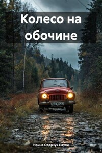 Колесо на обочине