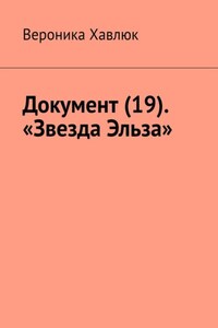 Документ (19). «Звезда Эльза»