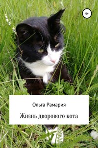 Жизнь дворового кота