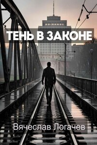 Тень в законе