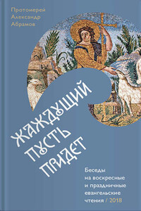 Жаждущий пусть придет. Беседы на воскресные и праздничные евангельские чтения