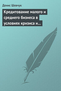 Кредитование малого и среднего бизнеса в условиях кризиса и финансовой нестабильности