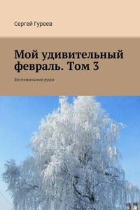 Мой удивительный февраль. Том 3. Воспоминания души