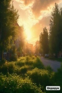 Рыцарь, и чужие проблемы