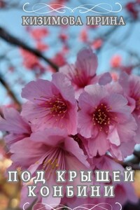 Под крышей конбини