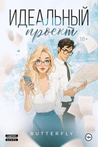Идеальный проект