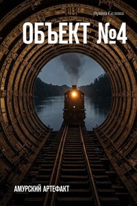 Объект №4. Амурский артефакт