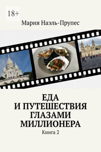 Еда и путешествия глазами миллионера. Книга 2