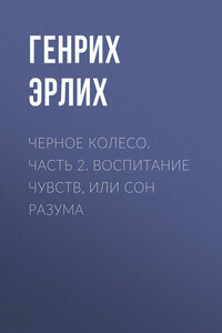 Черное колесо. Часть 2. Воспитание чувств, или Сон разума