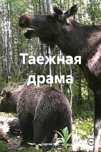 Таежная драма