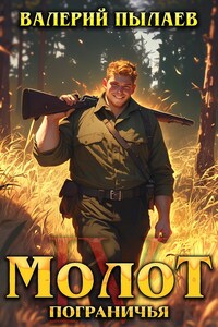 Молот Пограничья. Книга IV