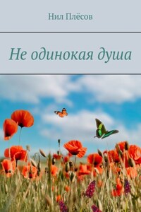 Не одинокая душа