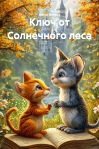 Ключ от Солнечного леса