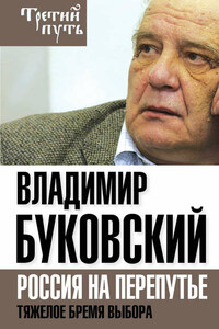 Владимир Буковский На краю. Тяжелый выбор России