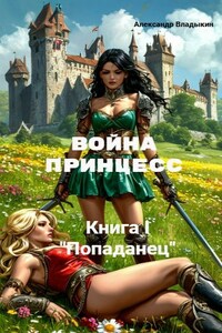 Война принцесс. Книга I. Попаданец.