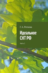 Идеальное СНТ РФ. Часть 1