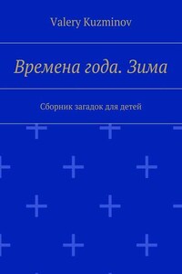 Времена года. Зима. Сборник загадок для детей