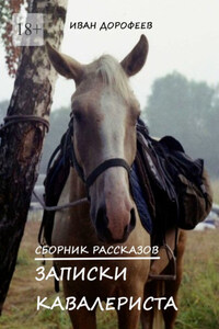 Записки кавалериста