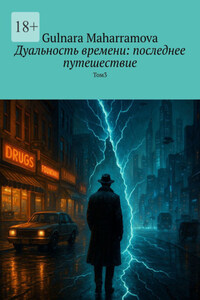 Дуальность времени: последнее путешествие. Том 3