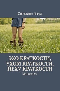 Эхо краткости, ухом краткости, йеху краткости. Моностихи