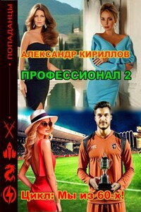 Профессионал 2