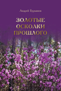 Золотые осколки прошлого. Дневники и воспоминания